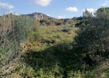 Foto 2 - Terreno agricolo Aglientu - foto 2