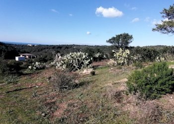 Foto 5 - Terreno agricolo Aglientu - foto 5