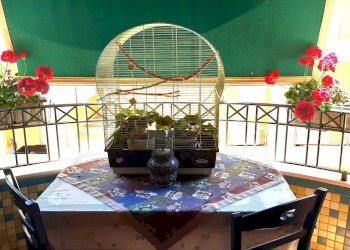 Foto 11 - Trilocale Via Kennedy, Alghero - foto 11