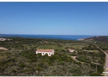 Foto 4 - Rustico Aglientu - foto 4