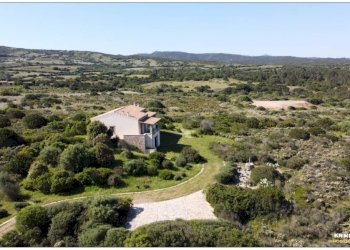 Foto 7 - Rustico Aglientu - foto 7