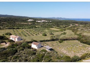 Foto 8 - Rustico Aglientu - foto 8