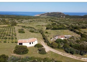 Foto 11 - Rustico Aglientu - foto 11