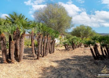 Foto 4 - Villa Località Monte Pedrosu
 
snc, Alghero - photo 4