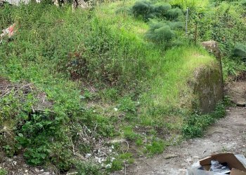 Giardino - Quadrilocale via Torregaveta
 
87, Bacoli - foto 37