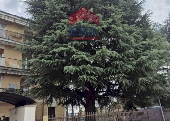 Foto 2 - Bilocale Via Donizetti
 
7, Busnago - foto 2