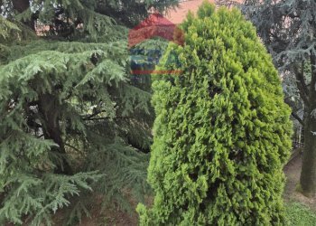 Foto 6 - Bilocale Via Donizetti
 
7, Busnago - foto 6