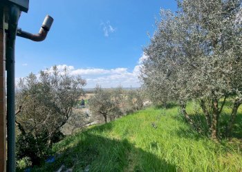 Foto 27 - Apartment Deruta - photo 27