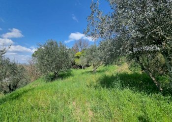 Foto 28 - Apartment Deruta - photo 28