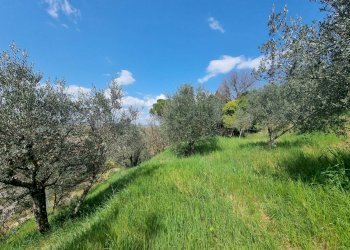 Foto 29 - Apartment Deruta - photo 29