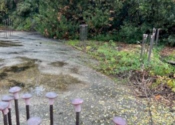 Foto 9 - Terreno edificabile Via Muracche I, Tortoreto - foto 9