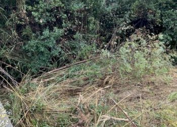 Foto 10 - Terreno edificabile Via Muracche I, Tortoreto - foto 10