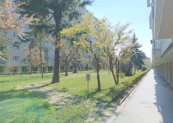 giardino condom. - Three-room apartment corso Sebastopoli, 297, Torino (neighborhood Santa Rita) - photo 18