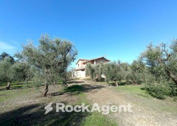 Terreno - Villa contrada Sant' Anna, Casarano - foto 6