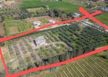 Vista - Villa contrada Sant' Anna, Casarano - foto 9