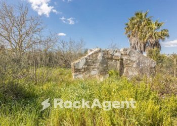 Terreno - Villa contrada Sant' Anna, Casarano - foto 21