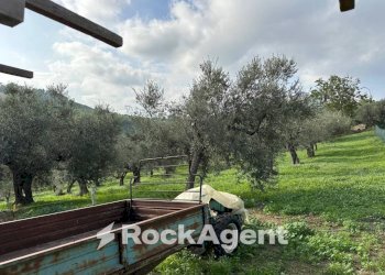 Terreno - Building land via Boccaccio, 4, Moscufo - photo 13