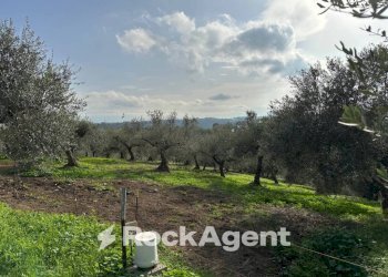 Terreno - Building land via Boccaccio, 4, Moscufo - photo 14