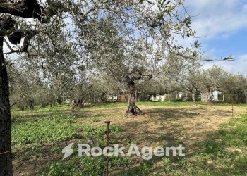 Terreno - Building land via Boccaccio, 4, Moscufo - photo 17