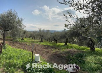 Terreno - Building land via Boccaccio, 4, Moscufo - photo 18