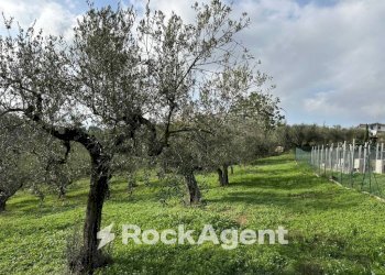 Terreno - Building land via Boccaccio, 4, Moscufo - photo 20