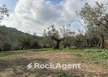 Terreno - Building land via Boccaccio, 4, Moscufo - photo 22
