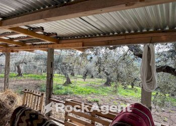 Terreno - Building land via Boccaccio, 4, Moscufo - photo 24