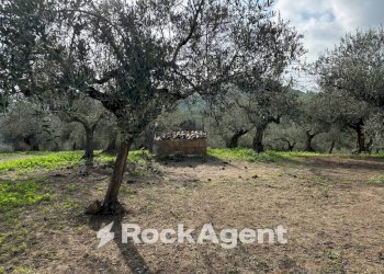 Terreno - Building land via Boccaccio, 4, Moscufo - photo 28