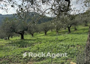 Terreno - Building land via Boccaccio, 4, Moscufo - photo 29