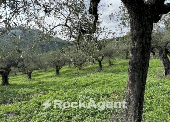 Terreno - Building land via Boccaccio, 4, Moscufo - photo 31