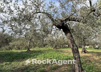 Terreno - Building land via Boccaccio, 4, Moscufo - photo 32