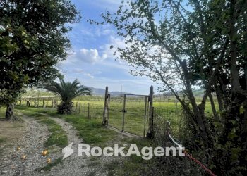Terreno - Terreno agricolo contrada Salella, San Cipriano Picentino - foto 1