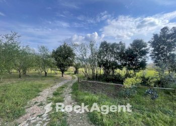 Terreno - Terreno agricolo contrada Salella, San Cipriano Picentino - foto 2