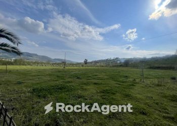 Terreno - Terreno agricolo contrada Salella, San Cipriano Picentino - foto 3