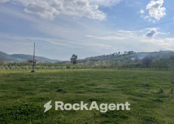 Terreno - Terreno agricolo contrada Salella, San Cipriano Picentino - foto 4