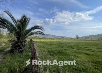 Terreno - Terreno agricolo contrada Salella, San Cipriano Picentino - foto 7