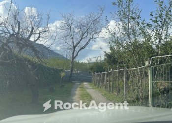 Giardino - Terreno agricolo contrada Salella, San Cipriano Picentino - foto 9