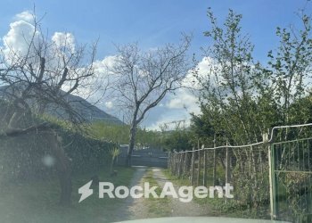 Giardino - Terreno agricolo contrada Salella, San Cipriano Picentino - foto 11