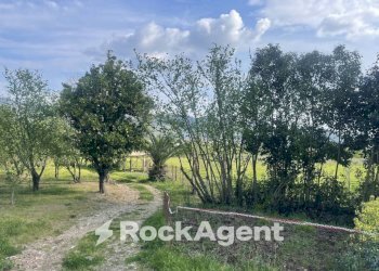 Terreno - Terreno agricolo contrada Salella, San Cipriano Picentino - foto 13