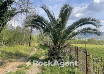 Terreno - Terreno agricolo contrada Salella, San Cipriano Picentino - foto 16