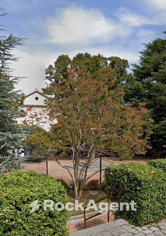 Giardino - Casa indipendente viale Jequiè, 26, Trecchina - foto 3