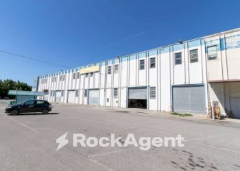 Zona - Negozio viale Lucrezia della Valle, Catanzaro - foto 3