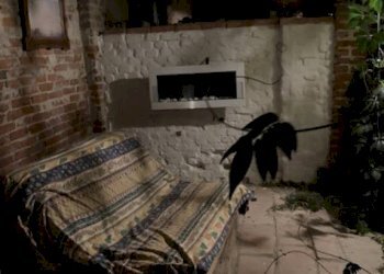 Cantina - Rustic via Colonne, Travacò Siccomario - photo 15