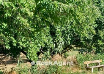 Giardino - Villa Roncitelli, AN, Senigallia - foto 16