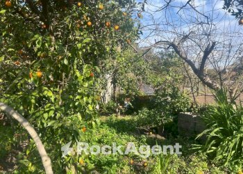 Giardino - Stabile - Palazzo via San Leonardo Zabatta, 15, Ottaviano - foto 29