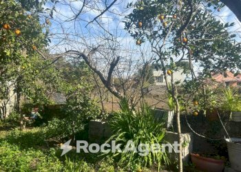 Giardino - Stabile - Palazzo via San Leonardo Zabatta, 15, Ottaviano - foto 31
