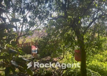 Giardino - Stabile - Palazzo via San Leonardo Zabatta, 15, Ottaviano - foto 32