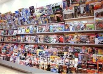 Zona - Newsagents - Newsagents with Kiosk Piove di Sacco - photo 8