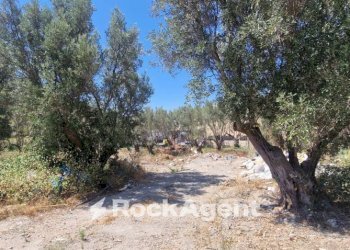 Terreno - Building land via Conti di Loritello, Catanzaro - photo 17