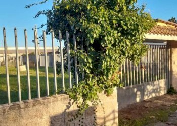 Terreno - Building land via Tirso, Nettuno - photo 6